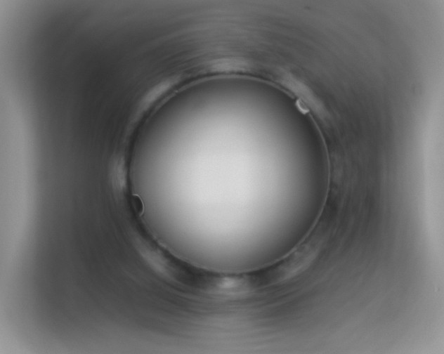 X0000113540060200909250935