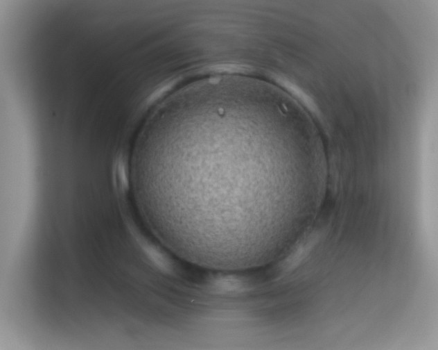 X0000113540062200909250935