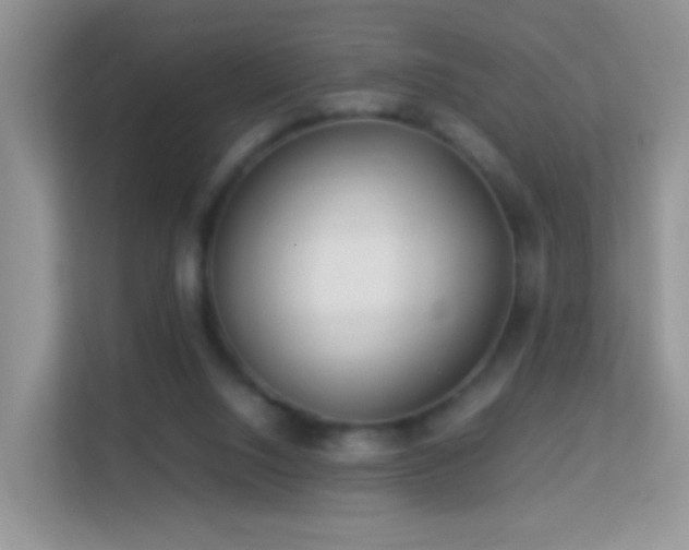 X0000113540064200909250935