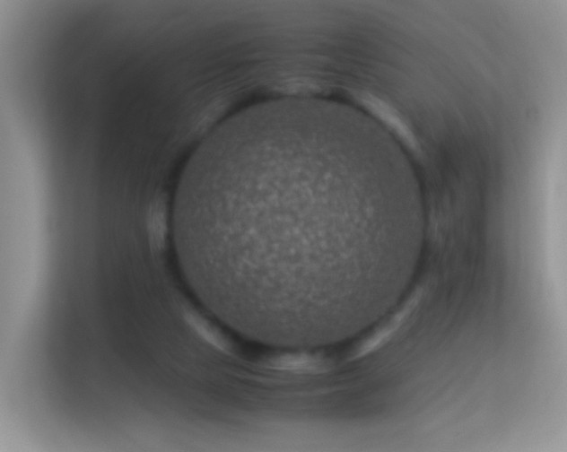 X0000113540065200909250935