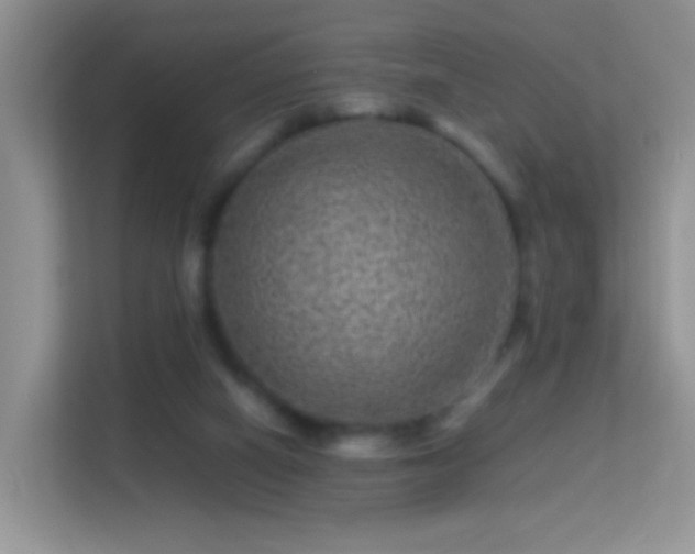 X0000113540066200909250935