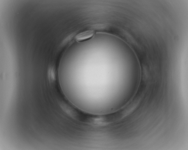 X0000113540068200909250935