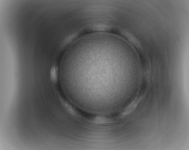 X0000113540070200909250935