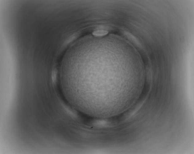 X0000113540071200909250935