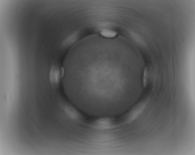 X0000113540076200909250935