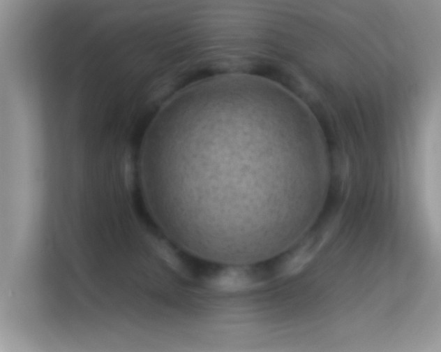 X0000113540080200909250935