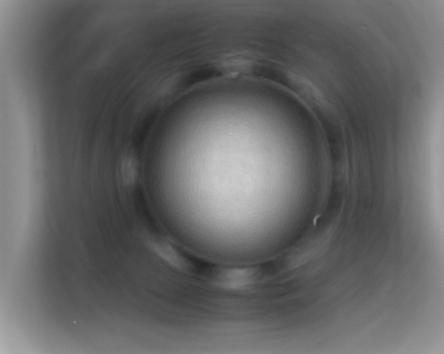 X0000113540081200909250935