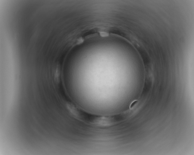 X0000113540082200909250935