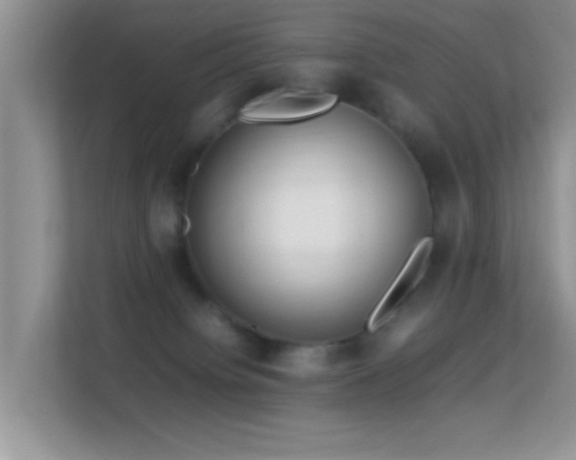 X0000113540084200909250935