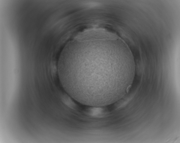 X0000113540085200909250935