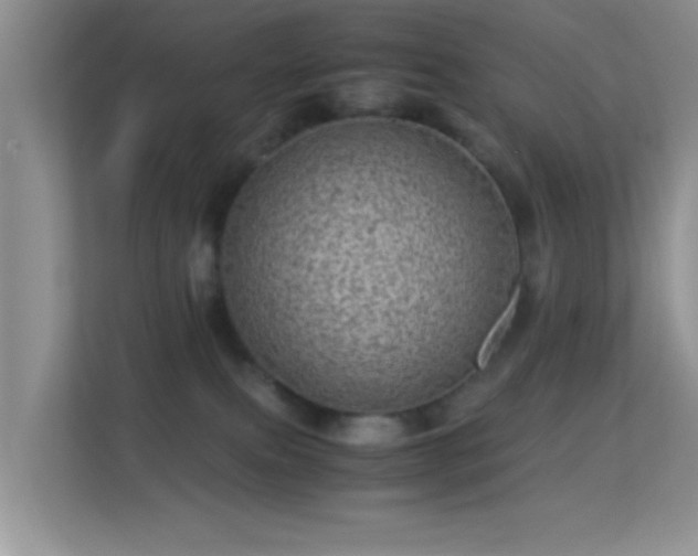 X0000113540087200909250935