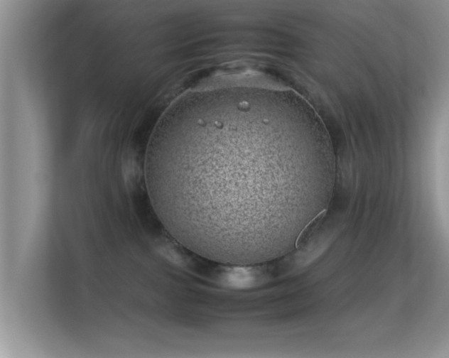 X0000113540091200909250935