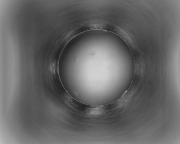 X0000113540093200909250935