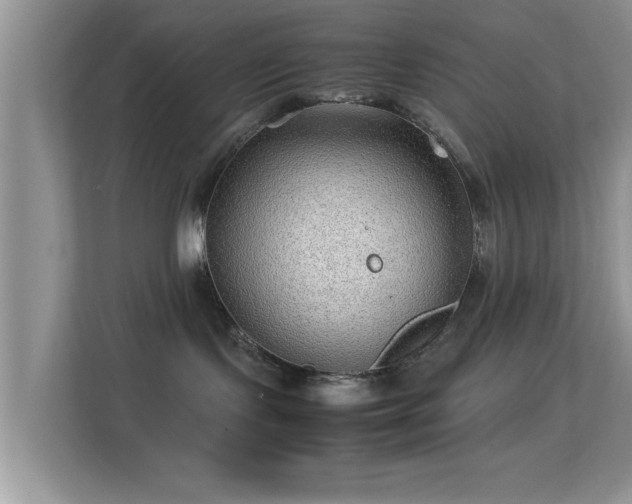 X0000113540095200909250935