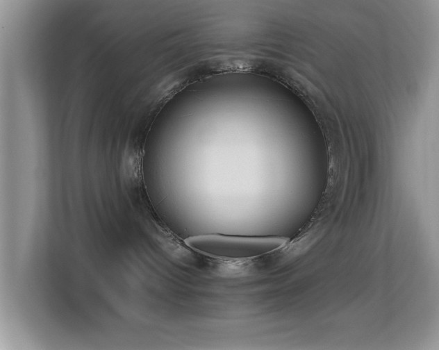 X0000113540096200909250935