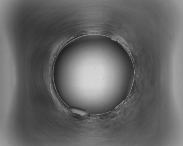 X0000113540097200909250934