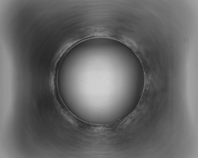 X0000113540098200909250934