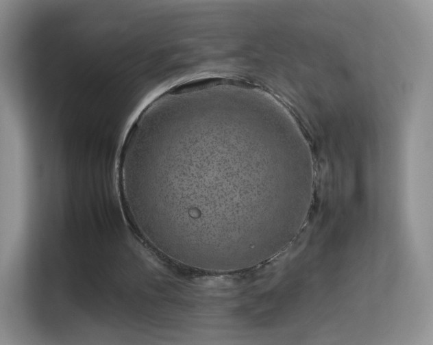 X0000113540100200909250934