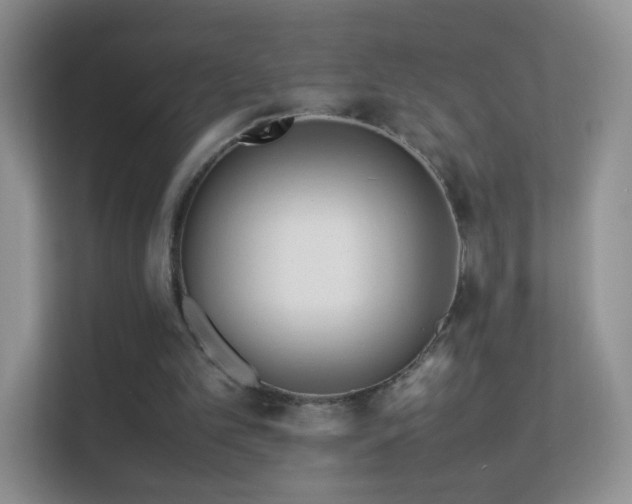 X0000113540101200909250934