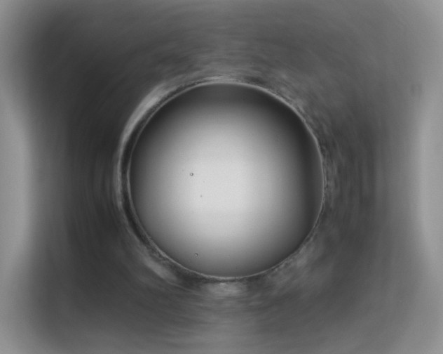 X0000113540102200909250934