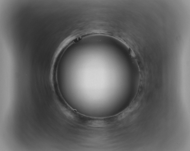 X0000113540104200909250934