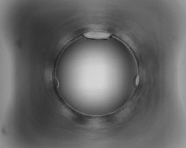 X0000113540105200909250934