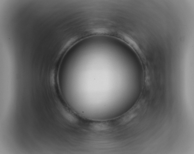 X0000113540106200909250934