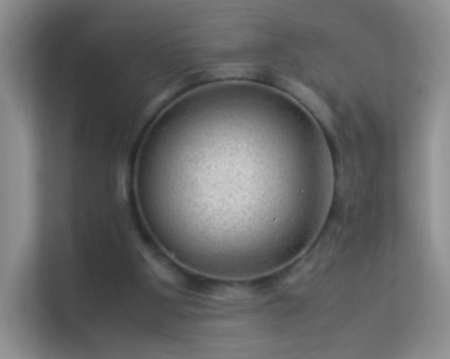 X0000113540107200909250934