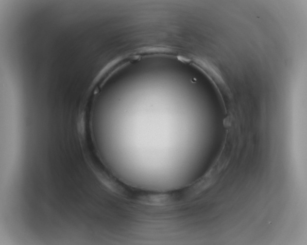 X0000113540108200909250934