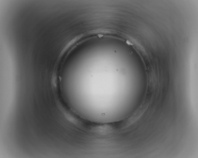 X0000113540112200909250934