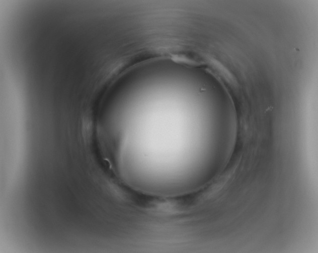 X0000113540113200909250934