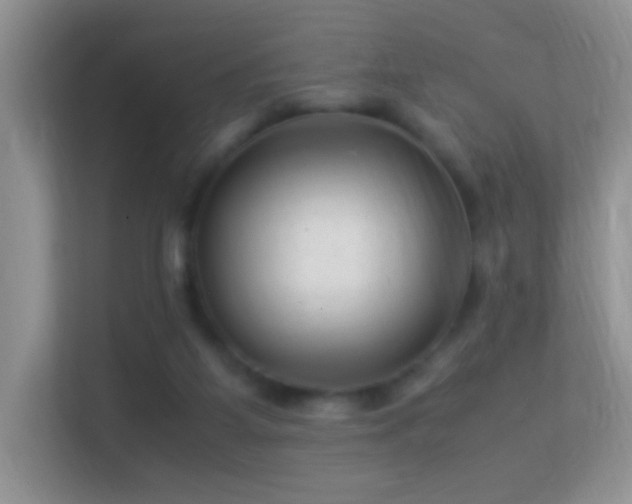 X0000113540115200909250934