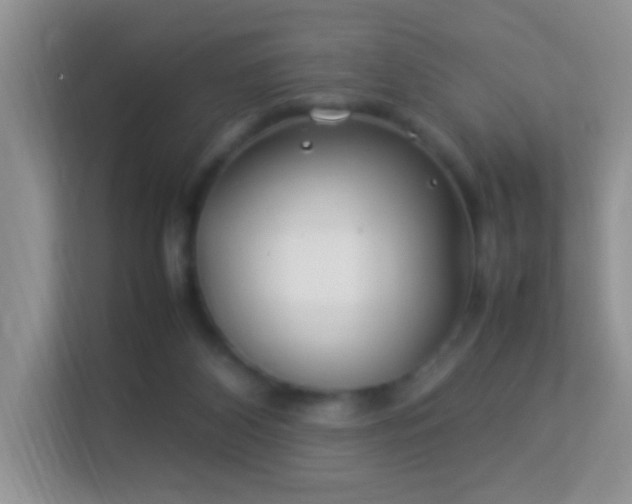 X0000113540116200909250934