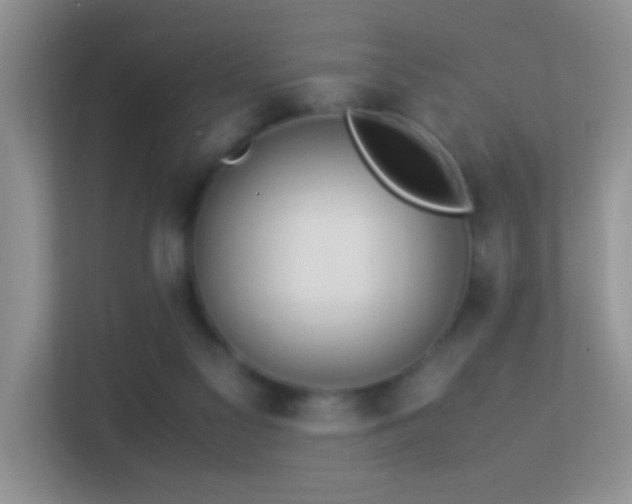 X0000113540117200909250934