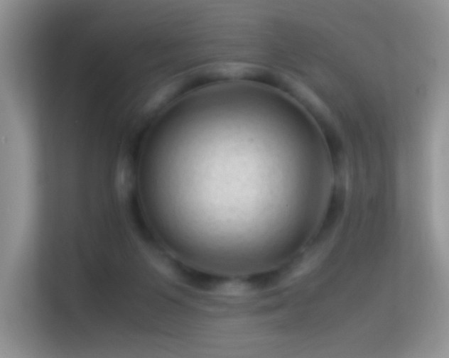 X0000113540119200909250934