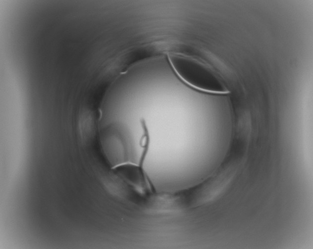 X0000113540121200909250934