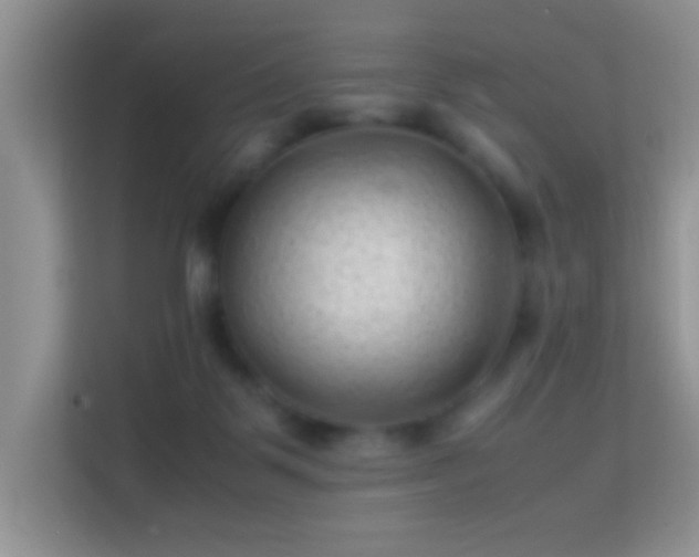 X0000113540123200909250934