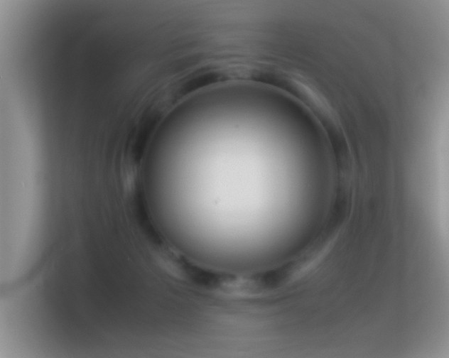 X0000113540125200909250934