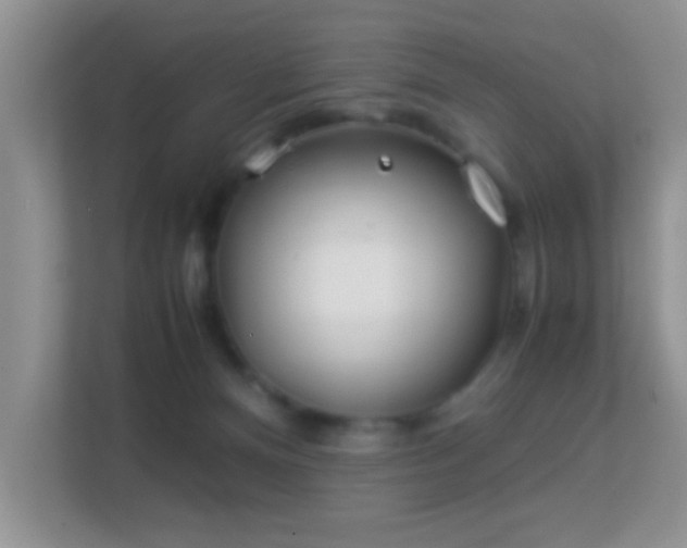 X0000113540128200909250934