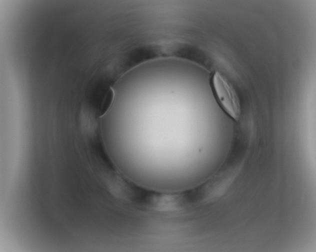 X0000113540129200909250934