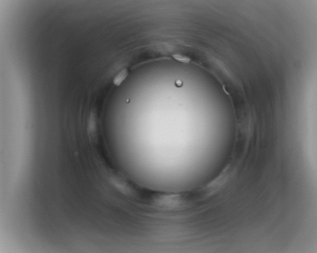 X0000113540132200909250934