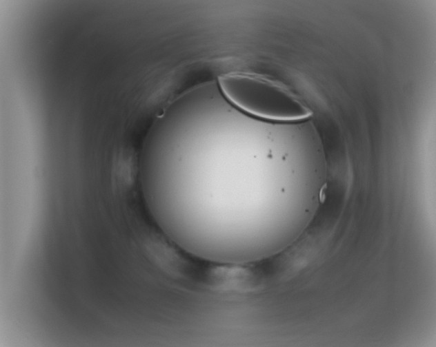 X0000113540133200909250934