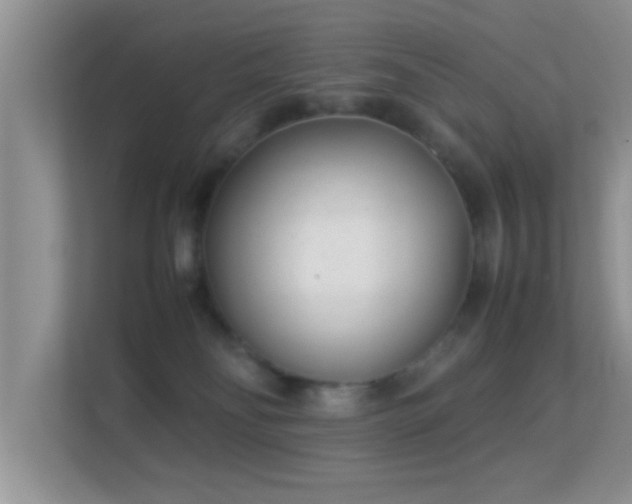 X0000113540134200909250934