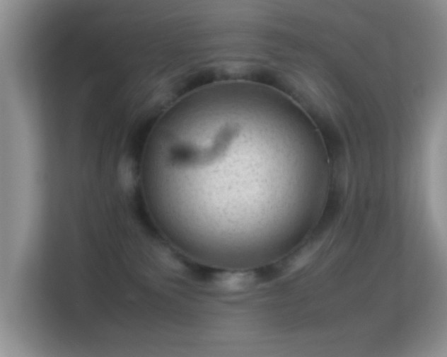 X0000113540135200909250934