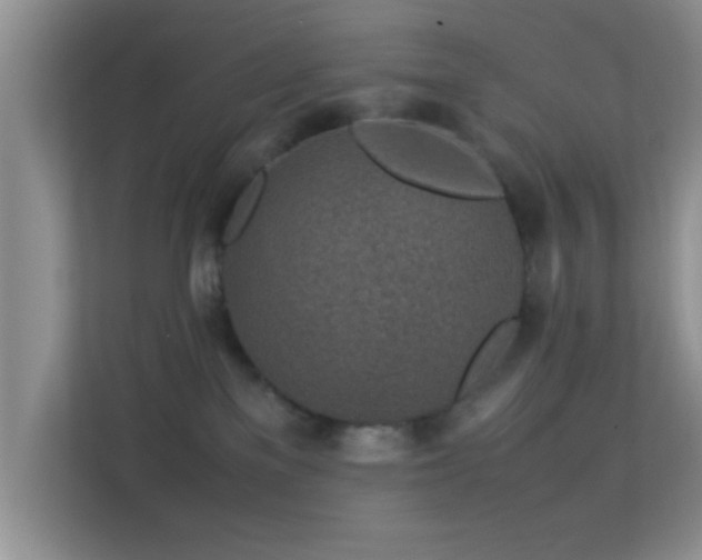 X0000113540137200909250934