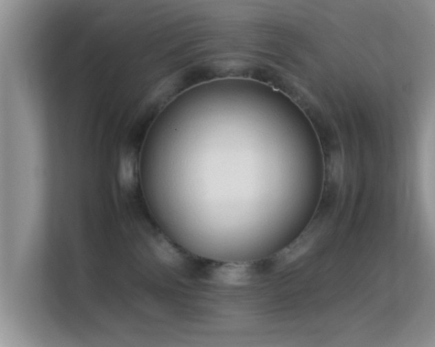 X0000113540138200909250934