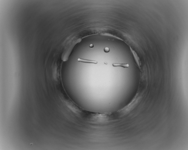 X0000113540140200909250934