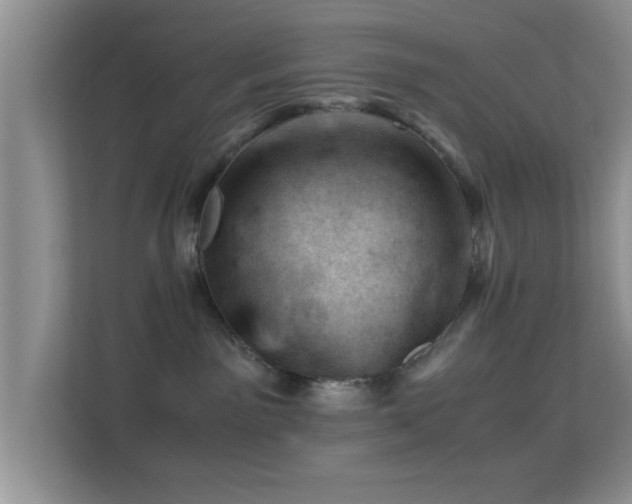 X0000113540141200909250934