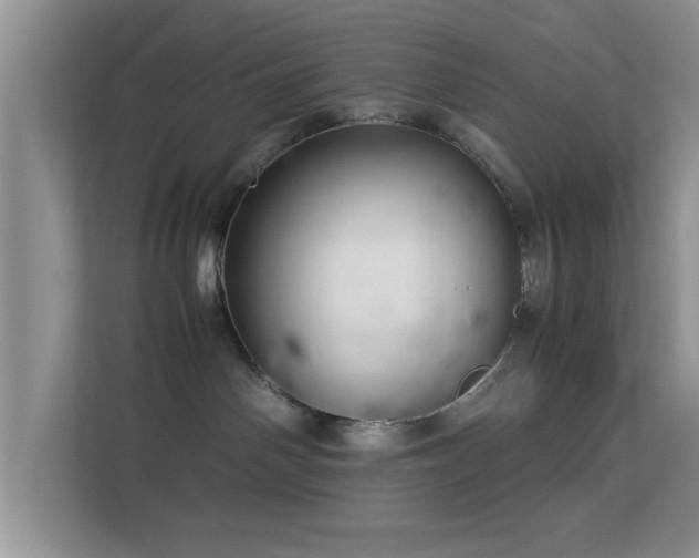 X0000113540142200909250934