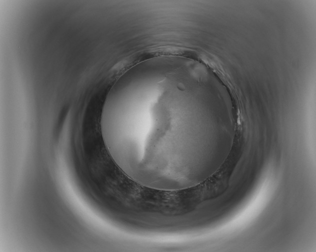 X0000113540143200909250934